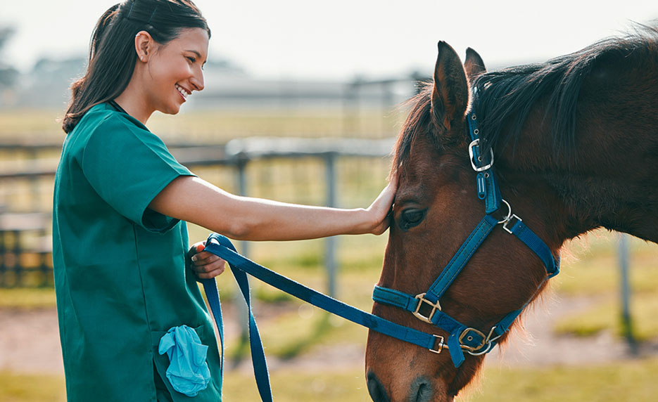 Vet-Asstnt-Horse-Care-Mgnt